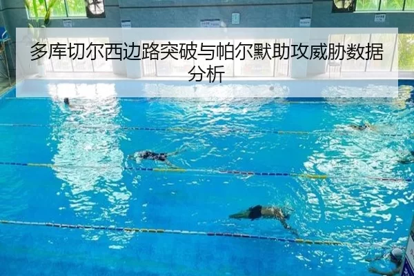 多库切尔西边路突破与帕尔默助攻威胁数据分析