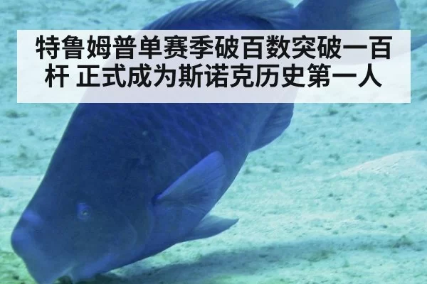 特鲁姆普单赛季破百数突破一百杆 正式成为斯诺克历史第一人