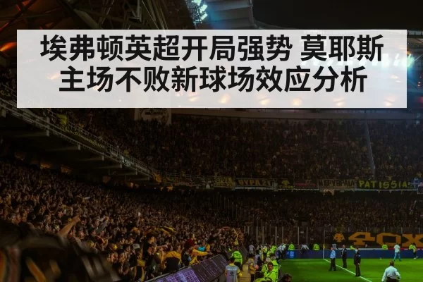 soccer stadium crowd atmosphere